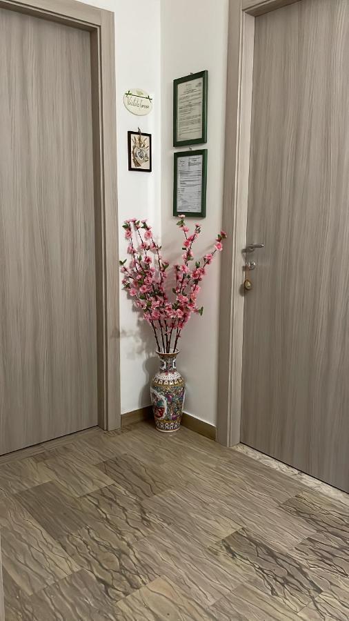 Gli Agrumi Giustenice Extérieur photo