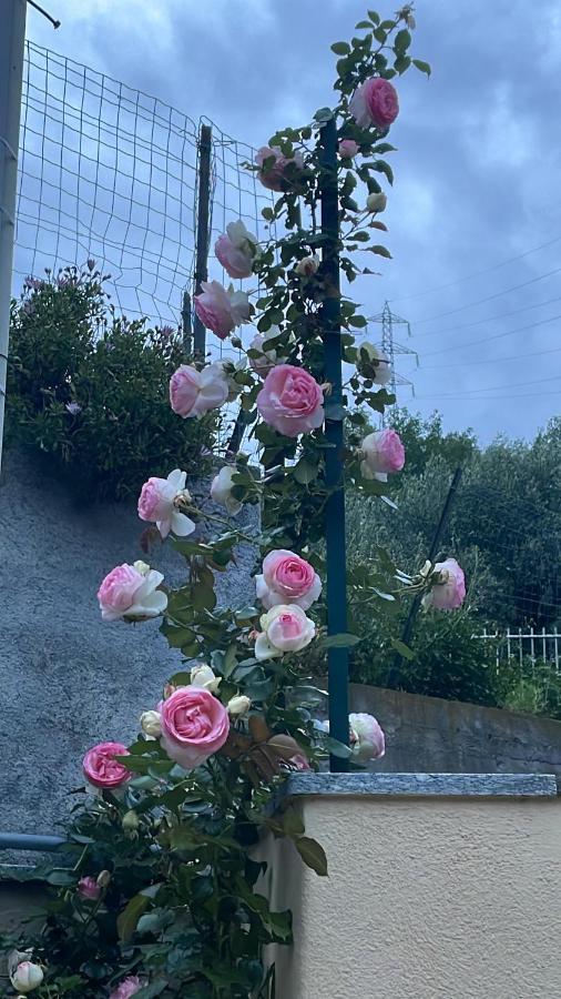 Gli Agrumi Giustenice Extérieur photo